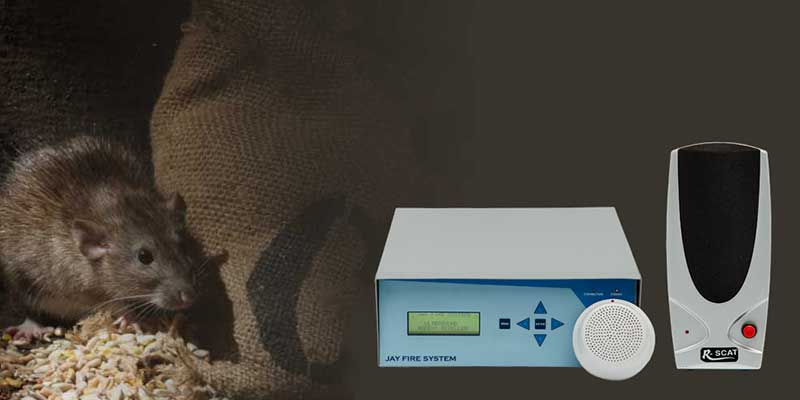 Rodent Control Systems